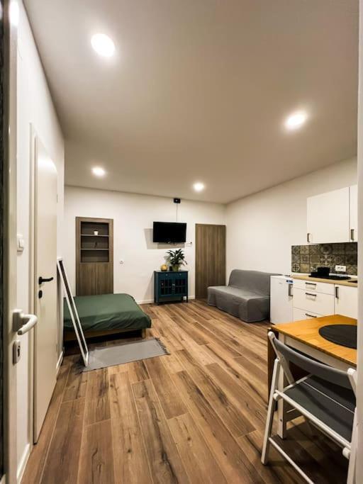 Studio Apartment Joanna 里耶卡 外观 照片