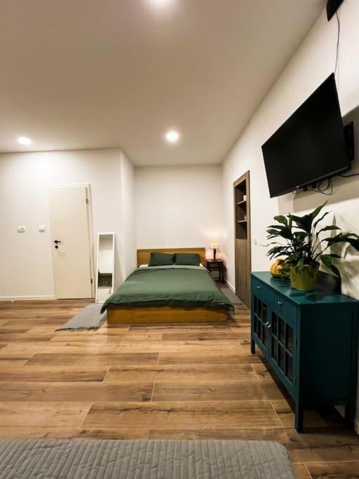 Studio Apartment Joanna 里耶卡 外观 照片