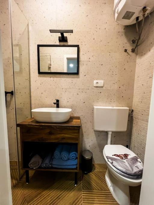 Studio Apartment Joanna 里耶卡 外观 照片